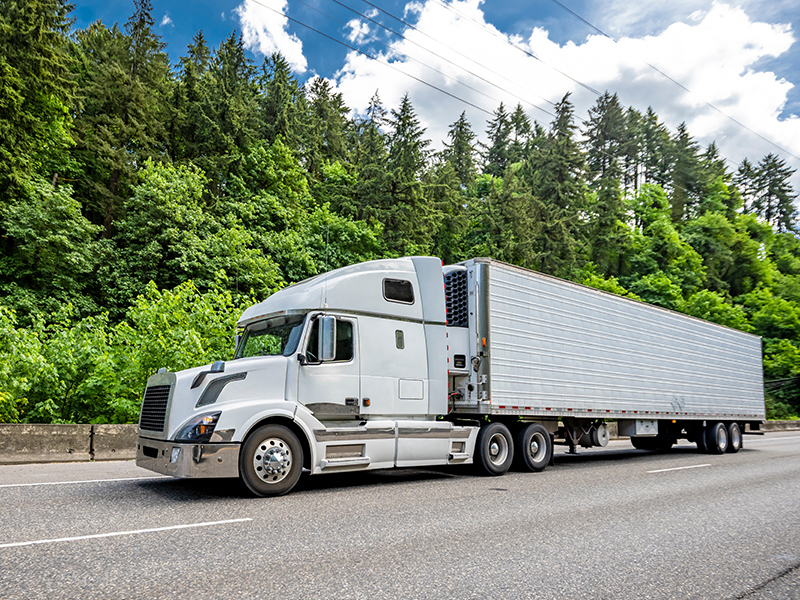 Ocean Transportation